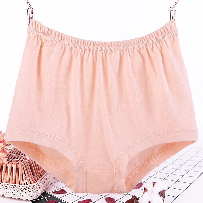 CurveComfort Plus Women's Briefs