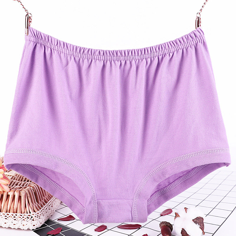 CurveComfort Plus Women's Briefs