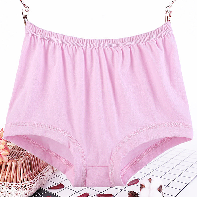 CurveComfort Plus Women's Briefs