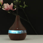 BreezeMini: USB Air Purifier & Humidifier Combo - decor by Trendsi | Available at Handbags Specialist Headquarter