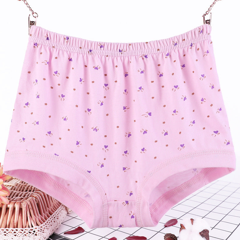 CurveComfort Plus Women's Briefs