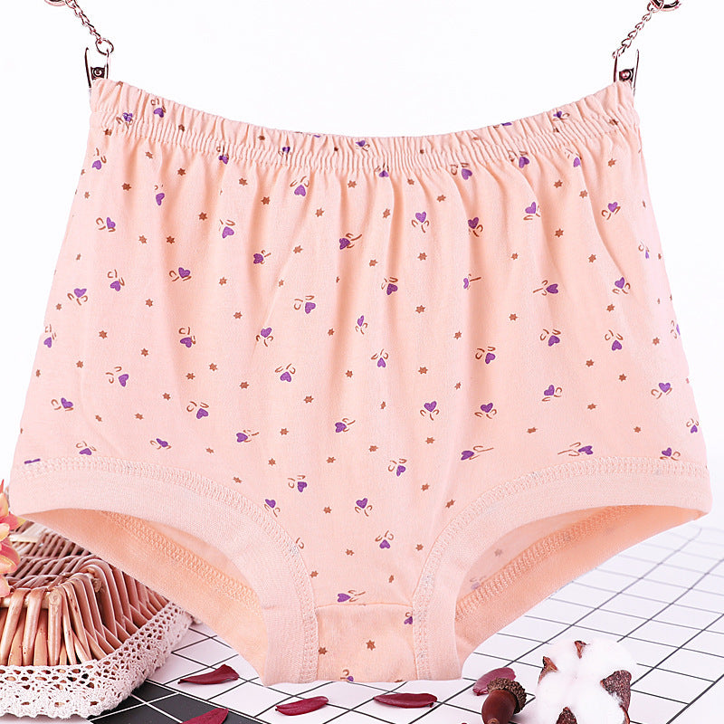 CurveComfort Plus Women's Briefs