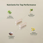 Snap Nitric Boost 90 Capsules - Health Care by Handbags Specialist Headquarter | Available at Handbags Specialist Headquarter