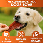PawSavor Pig Ears: Natural, Tasty Chews for Dogs -  by Handbags Specialist Headquarter | Available at Handbags Specialist Headquarter