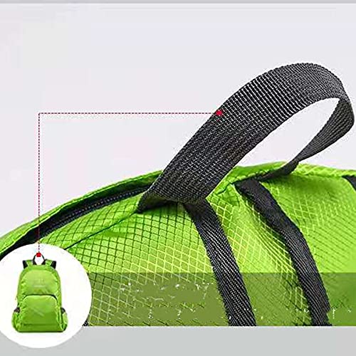 Genuine Rucksack Bag -  by Handbags Specialist Headquarter | Available at Handbags Specialist Headquarter