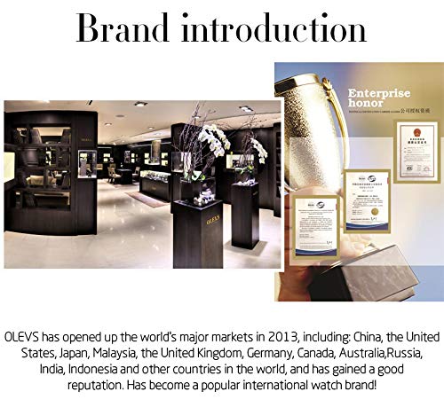 OLEVS Luxe: Men's Golden Dial Quartz Business Watch