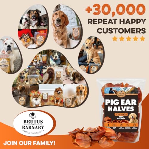 PawSavor Pig Ears: Natural, Tasty Chews for Dogs -  by Handbags Specialist Headquarter | Available at Handbags Specialist Headquarter