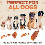 PawSavor Pig Ears: Natural, Tasty Chews for Dogs -  by Handbags Specialist Headquarter | Available at Handbags Specialist Headquarter