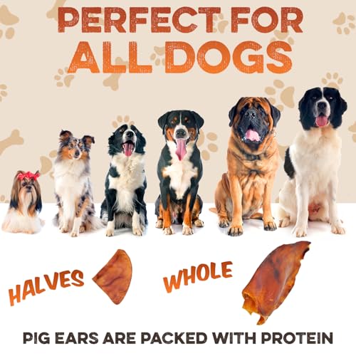 PawSavor Pig Ears: Natural, Tasty Chews for Dogs -  by Handbags Specialist Headquarter | Available at Handbags Specialist Headquarter