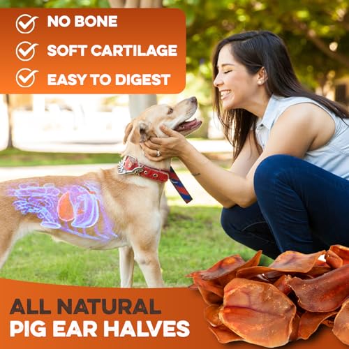 PawSavor Pig Ears: Natural, Tasty Chews for Dogs -  by Handbags Specialist Headquarter | Available at Handbags Specialist Headquarter