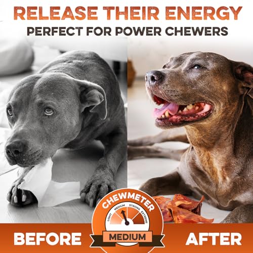 PawSavor Pig Ears: Natural, Tasty Chews for Dogs -  by Handbags Specialist Headquarter | Available at Handbags Specialist Headquarter