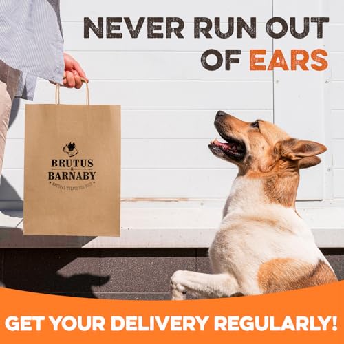 PawSavor Pig Ears: Natural, Tasty Chews for Dogs -  by Handbags Specialist Headquarter | Available at Handbags Specialist Headquarter