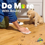 Bounty FlexiSheets: 8 Triple = 24 Regular Rolls -  by Handbags Specialist Headquarter | Available at Handbags Specialist Headquarter