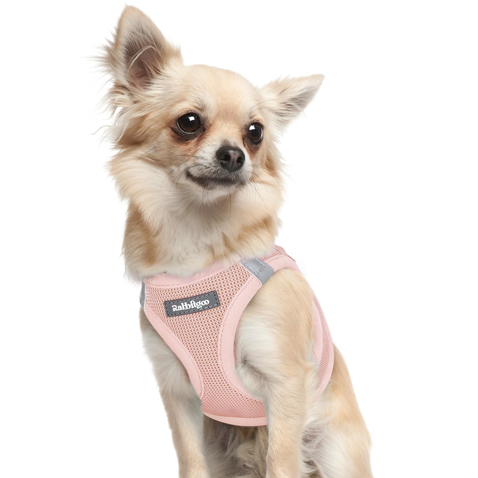 BunnyStep: Reflective Mesh Harness for Small Dogs -  by Handbags Specialist Headquarter | Available at Handbags Specialist Headquarter