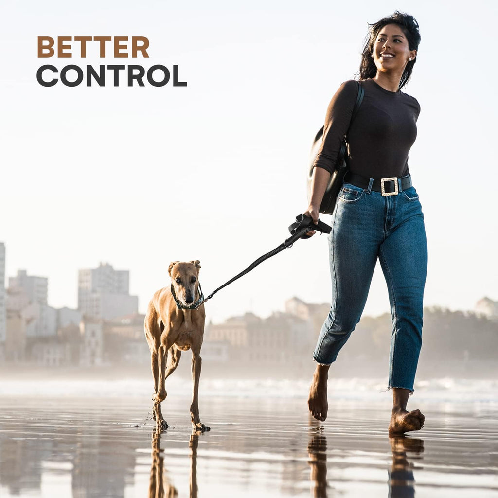 RhinoGrip Aqua: Double Handle Reflective Dog Leash -  by Handbags Specialist Headquarter | Available at Handbags Specialist Headquarter