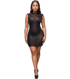 Mesh Bodycon Mini Dress