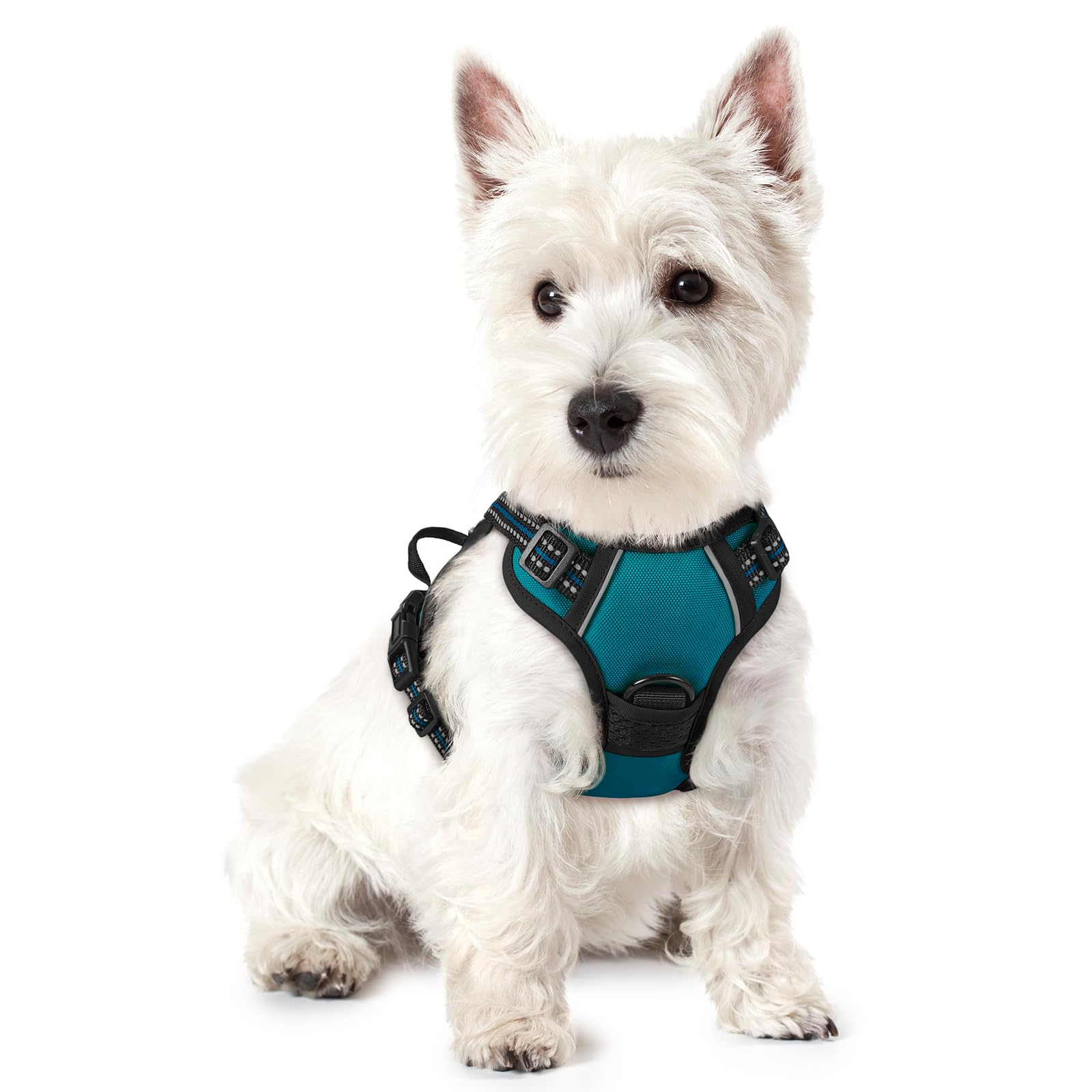 PawGuard No-Pull Reflective Dog Harness - Large Black -  by Handbags Specialist Headquarter | Available at Handbags Specialist Headquarter