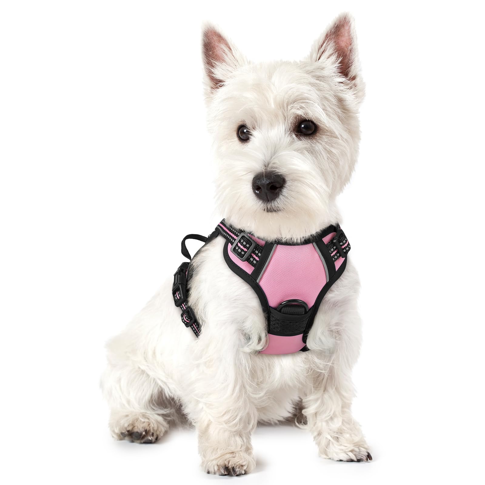 PawGuard No-Pull Reflective Dog Harness - Large Black -  by Handbags Specialist Headquarter | Available at Handbags Specialist Headquarter