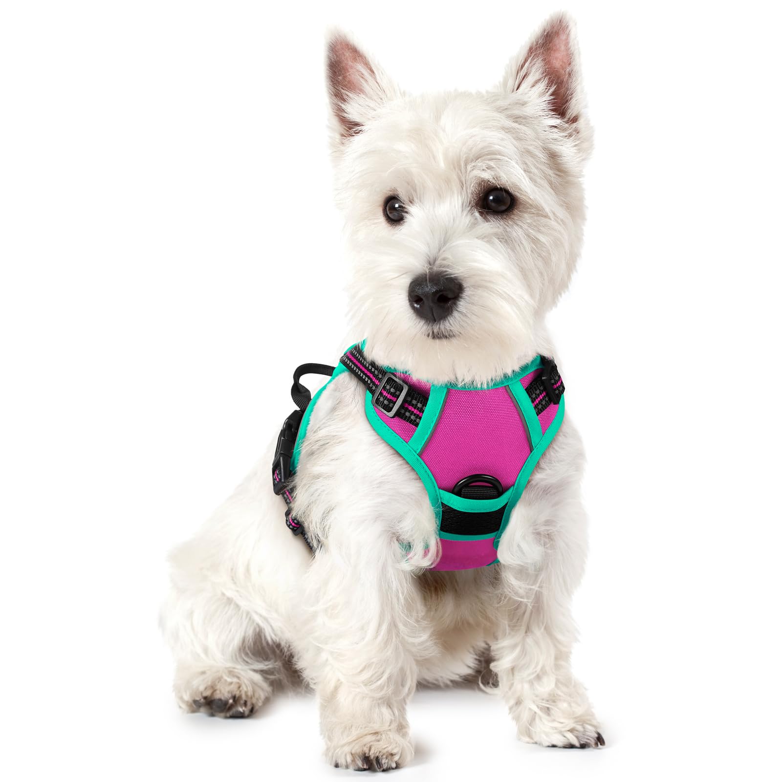 PawGuard No-Pull Reflective Dog Harness - Large Black -  by Handbags Specialist Headquarter | Available at Handbags Specialist Headquarter