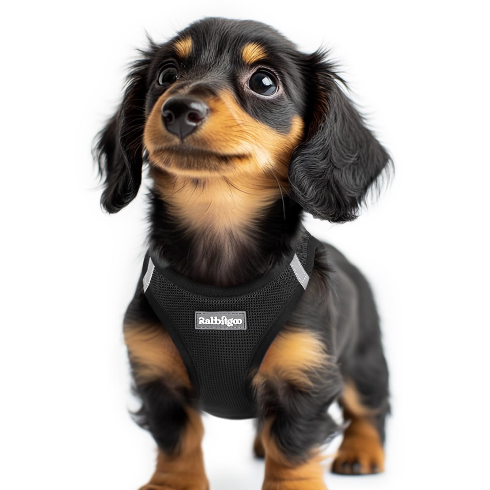 BunnyStep: Reflective Mesh Harness for Small Dogs -  by Handbags Specialist Headquarter | Available at Handbags Specialist Headquarter