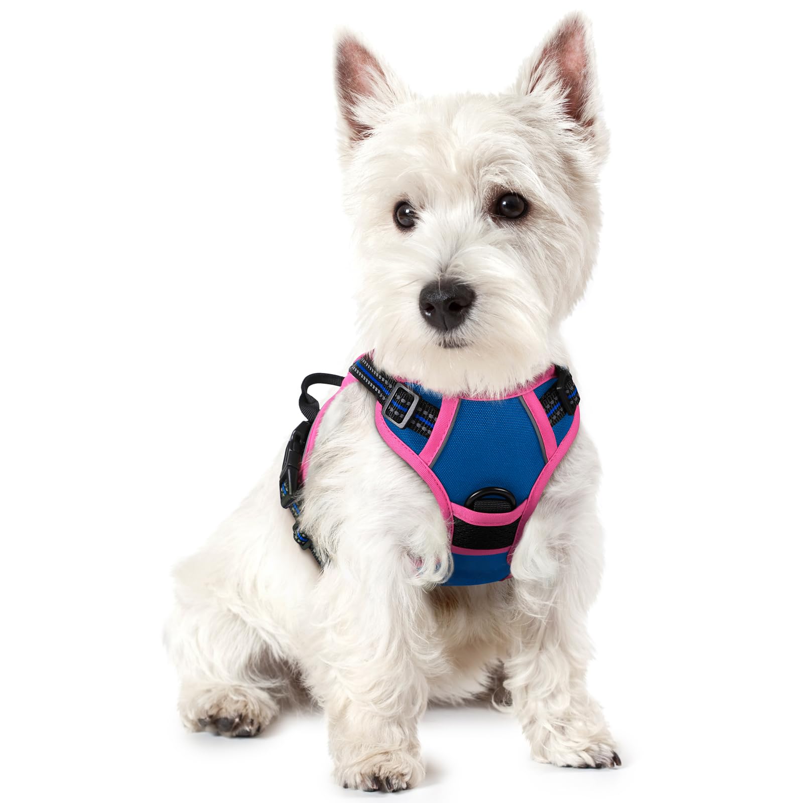 PawGuard No-Pull Reflective Dog Harness - Large Black -  by Handbags Specialist Headquarter | Available at Handbags Specialist Headquarter