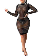 Mesh Bodycon Mini Dress