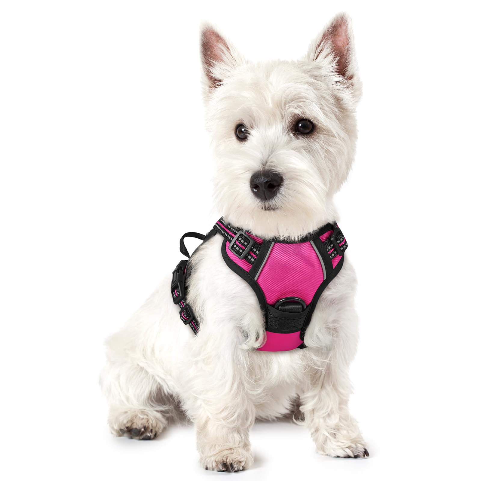 PawGuard No-Pull Reflective Dog Harness - Large Black -  by Handbags Specialist Headquarter | Available at Handbags Specialist Headquarter
