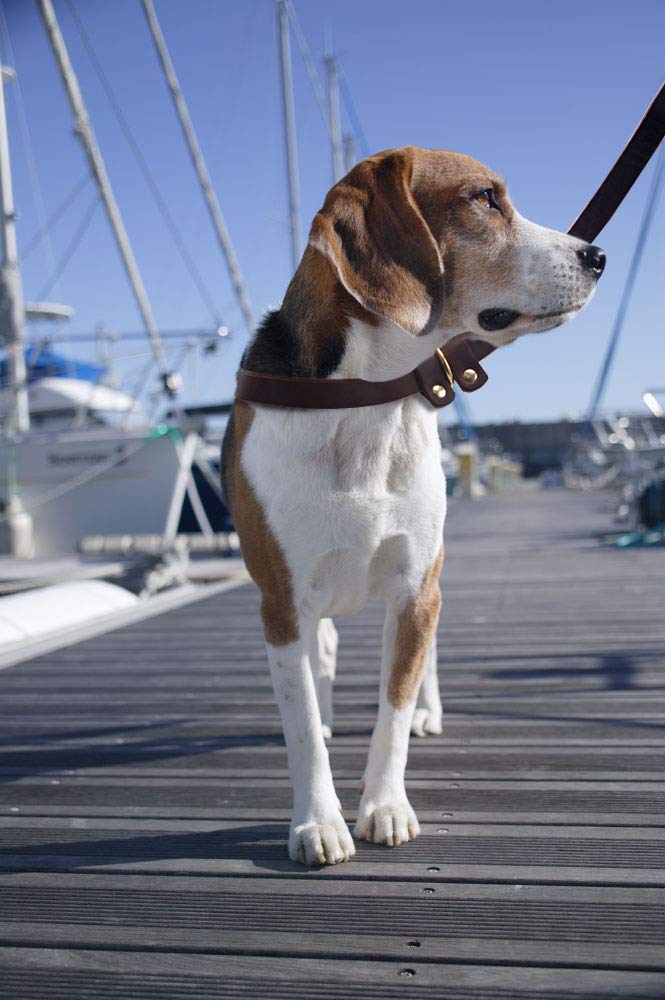 BronzeBark Slip Lead: Real Leather Adjustable Leash -  by Handbags Specialist Headquarter | Available at Handbags Specialist Headquarter