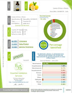 LavenderZen Essential Oil - Health Care by Handbags Specialist Headquarter | Available at Handbags Specialist Headquarter