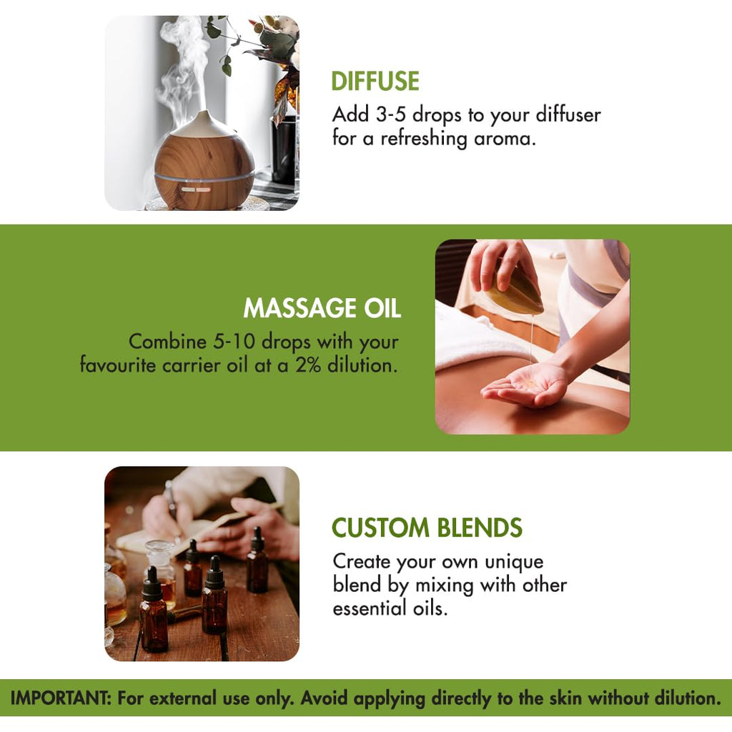 Majestic Pure Lavender Oil with Dropper 4oz - Health Care by Handbags Specialist Headquarter | Available at Handbags Specialist Headquarter