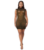 Mesh Bodycon Mini Dress
