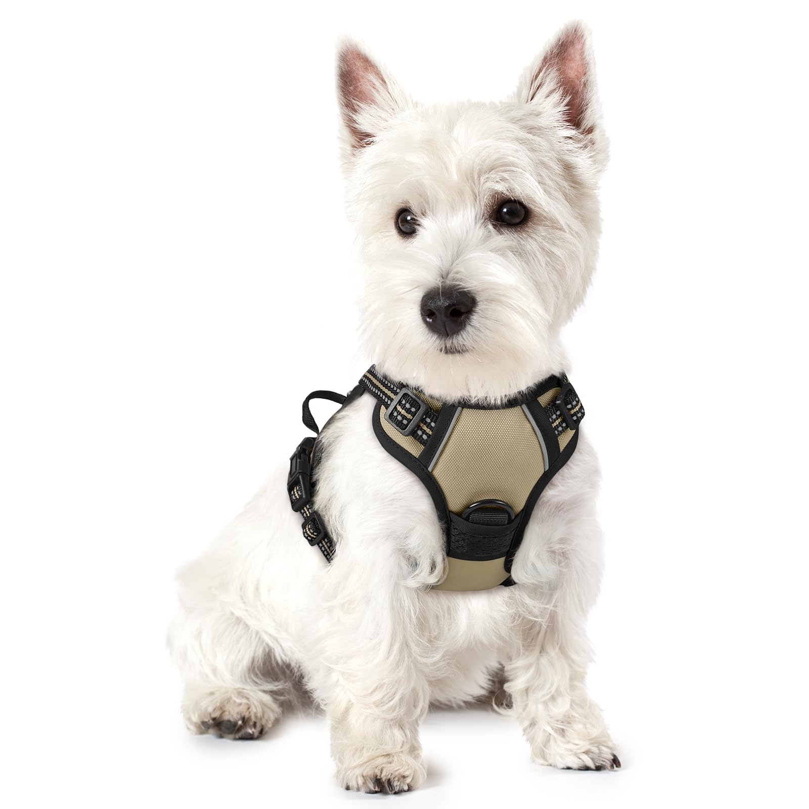 PawGuard No-Pull Reflective Dog Harness - Large Black -  by Handbags Specialist Headquarter | Available at Handbags Specialist Headquarter