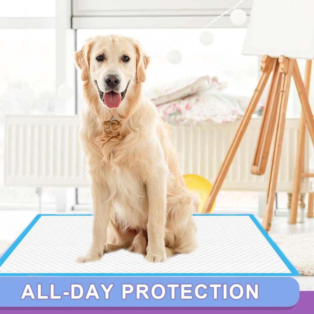 Puppy Pee Pro Pads - 100 Count Super Absorbent Set - Pet Supplies by Handbags Specialist Headquarter | Available at Handbags Specialist Headquarter