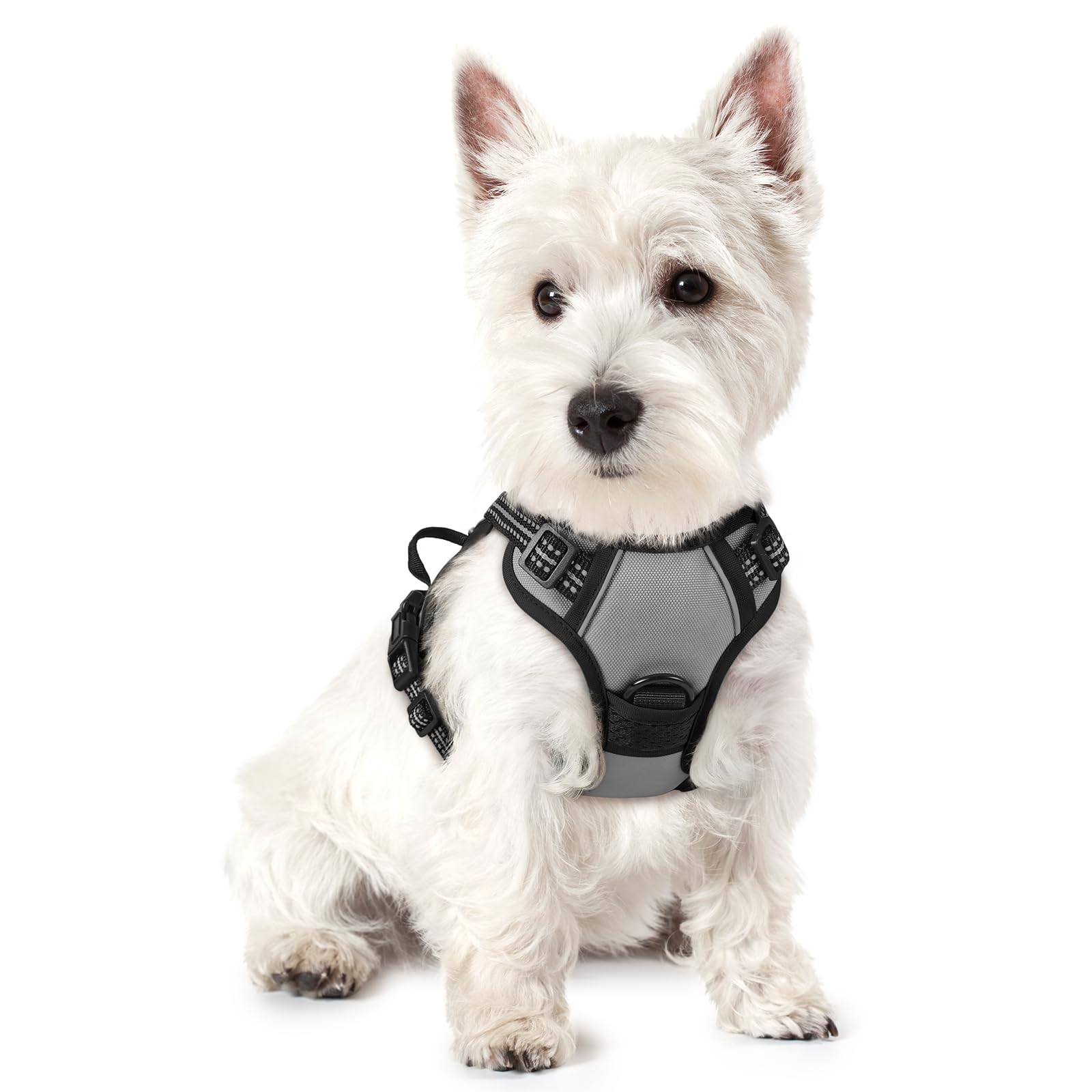 PawGuard No-Pull Reflective Dog Harness - Large Black -  by Handbags Specialist Headquarter | Available at Handbags Specialist Headquarter
