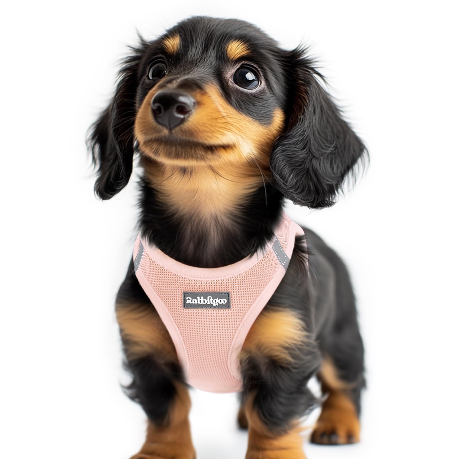 BunnyStep: Reflective Mesh Harness for Small Dogs -  by Handbags Specialist Headquarter | Available at Handbags Specialist Headquarter