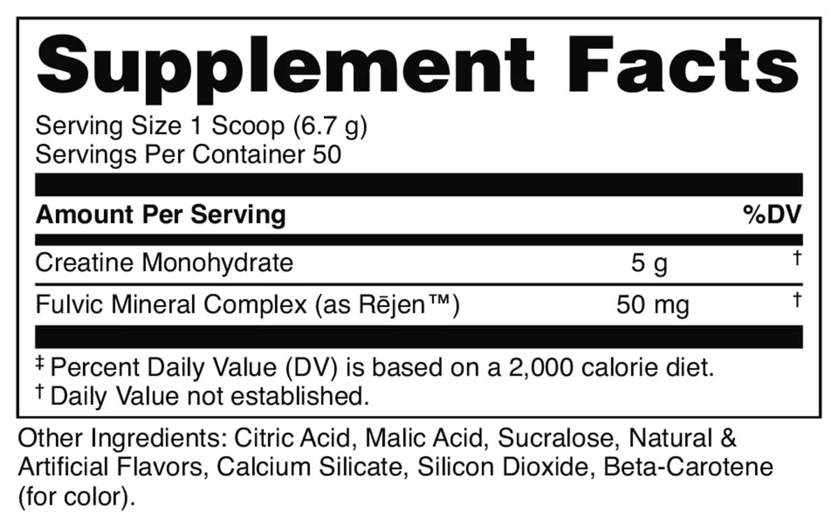 Bucked Up Micronized Creatine - Unflavored Power Boost - Healthcare by Handbags Specialist Headquarter | Available at Handbags Specialist Headquarter