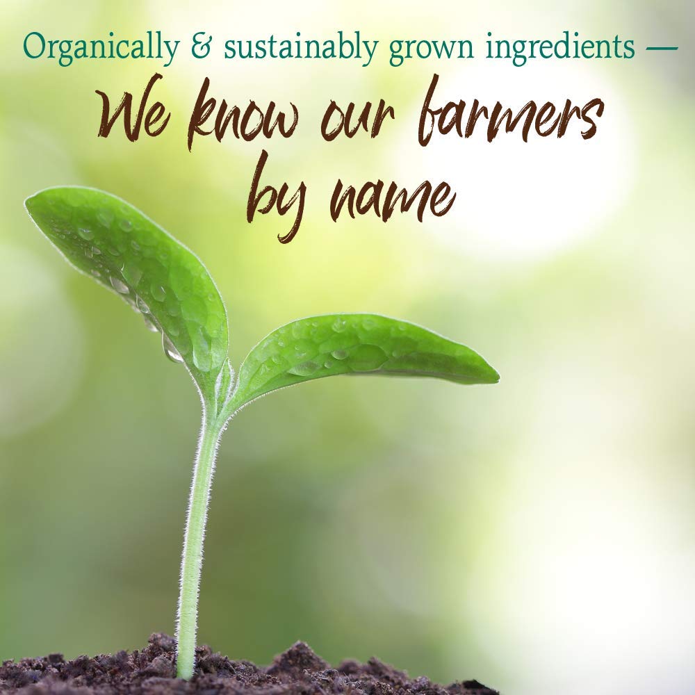 GreenVitality Superfood Powder - Juiced Greens Blend - Health Care by Handbags Specialist Headquarter | Available at Handbags Specialist Headquarter