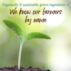 GreenVitality Superfood Powder - Juiced Greens Blend - Health Care by Handbags Specialist Headquarter | Available at Handbags Specialist Headquarter