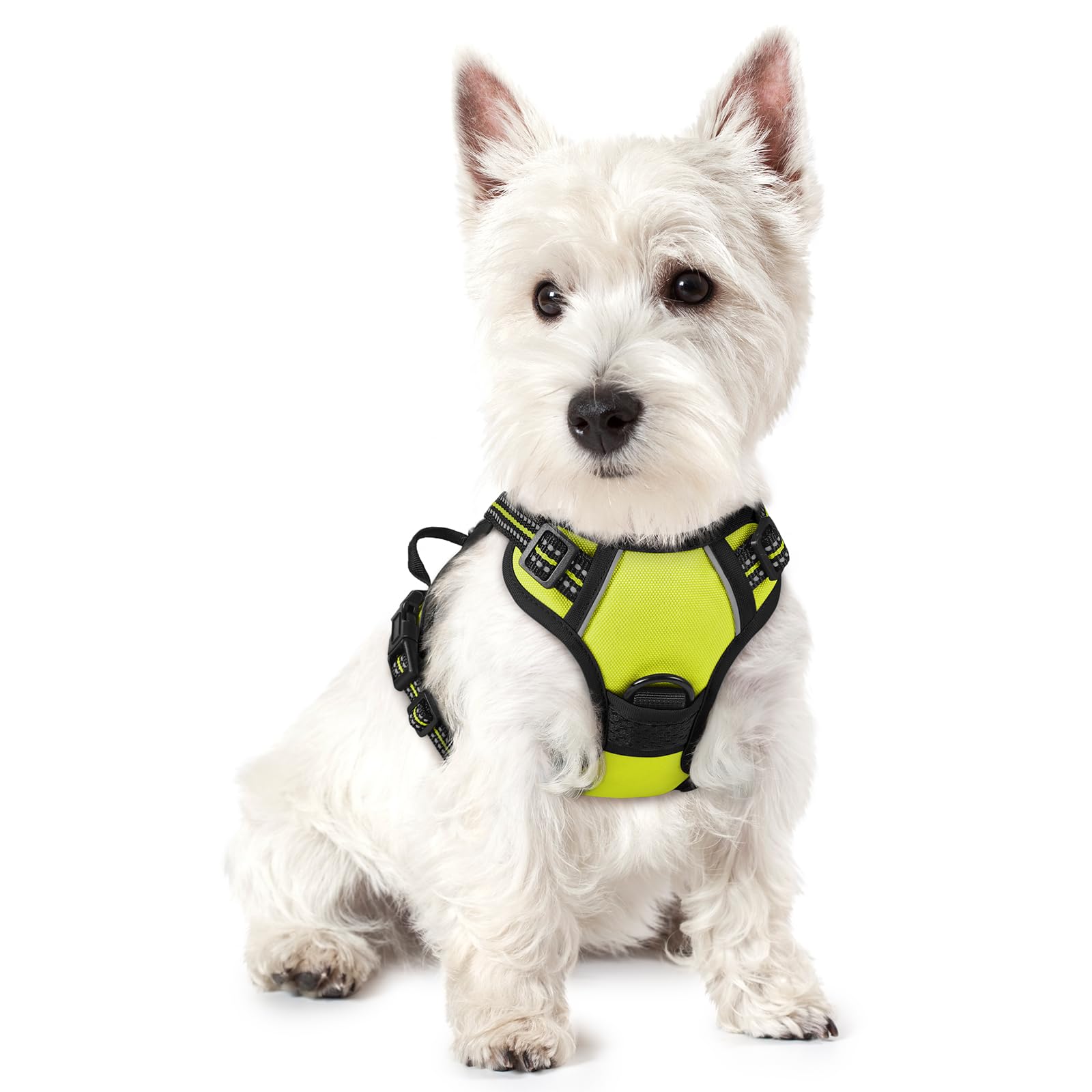 PawGuard No-Pull Reflective Dog Harness - Large Black -  by Handbags Specialist Headquarter | Available at Handbags Specialist Headquarter