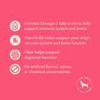 Wag Expedition Pumpkin Chia Dog Treats, Organic Biscuits - Pet Supplies by Handbags Specialist Headquarter | Available at Handbags Specialist Headquarter