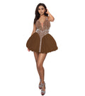 Mesh Bodycon Mini Dress