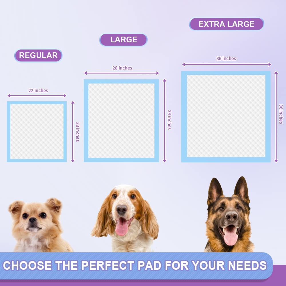 Puppy Pee Pro Pads - 100 Count Super Absorbent Set - Pet Supplies by Handbags Specialist Headquarter | Available at Handbags Specialist Headquarter
