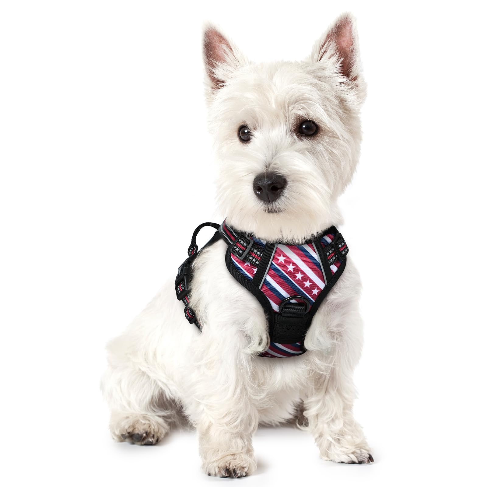 PawGuard No-Pull Reflective Dog Harness - Large Black -  by Handbags Specialist Headquarter | Available at Handbags Specialist Headquarter