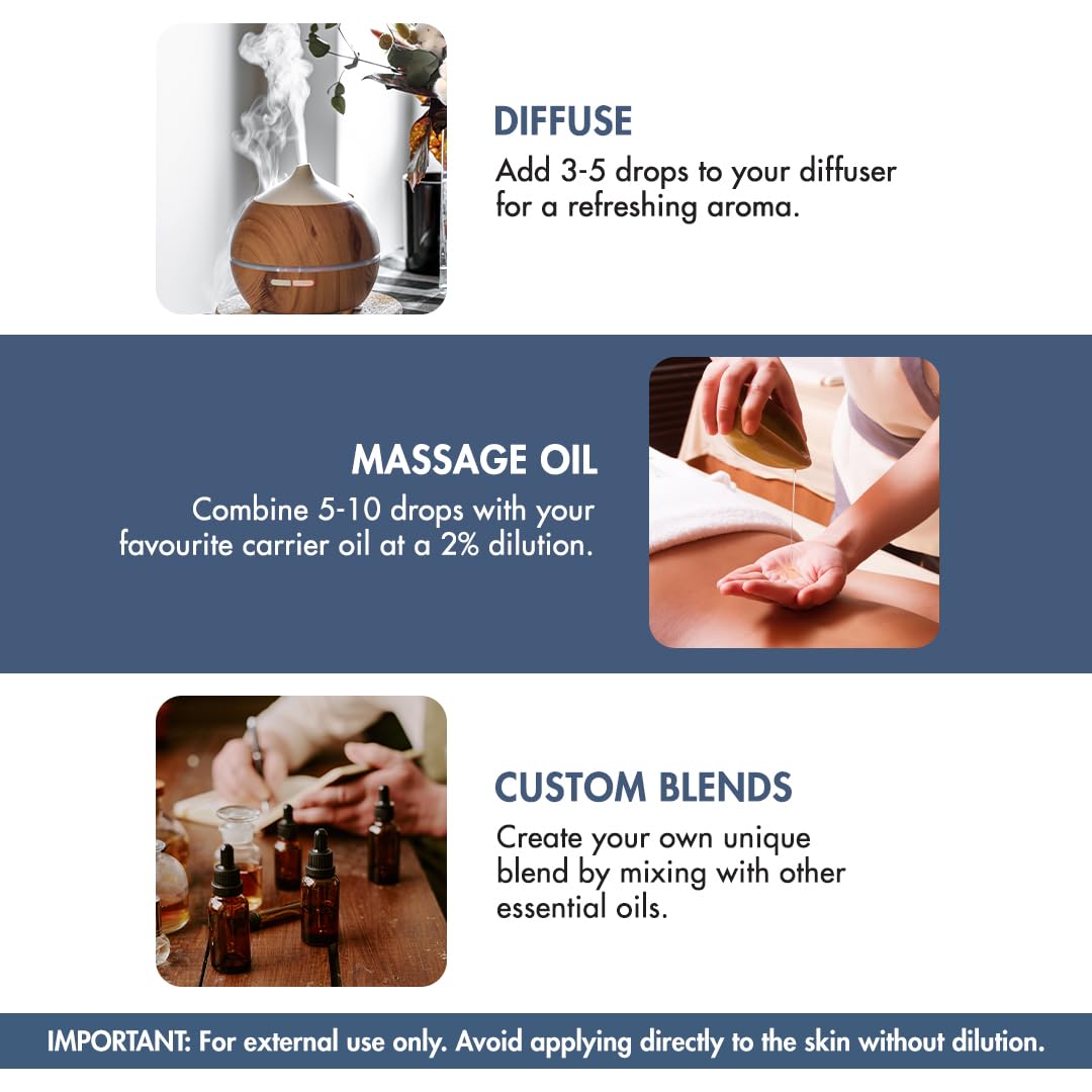 Majestic Pure Lavender Oil with Dropper 4oz - Health Care by Handbags Specialist Headquarter | Available at Handbags Specialist Headquarter