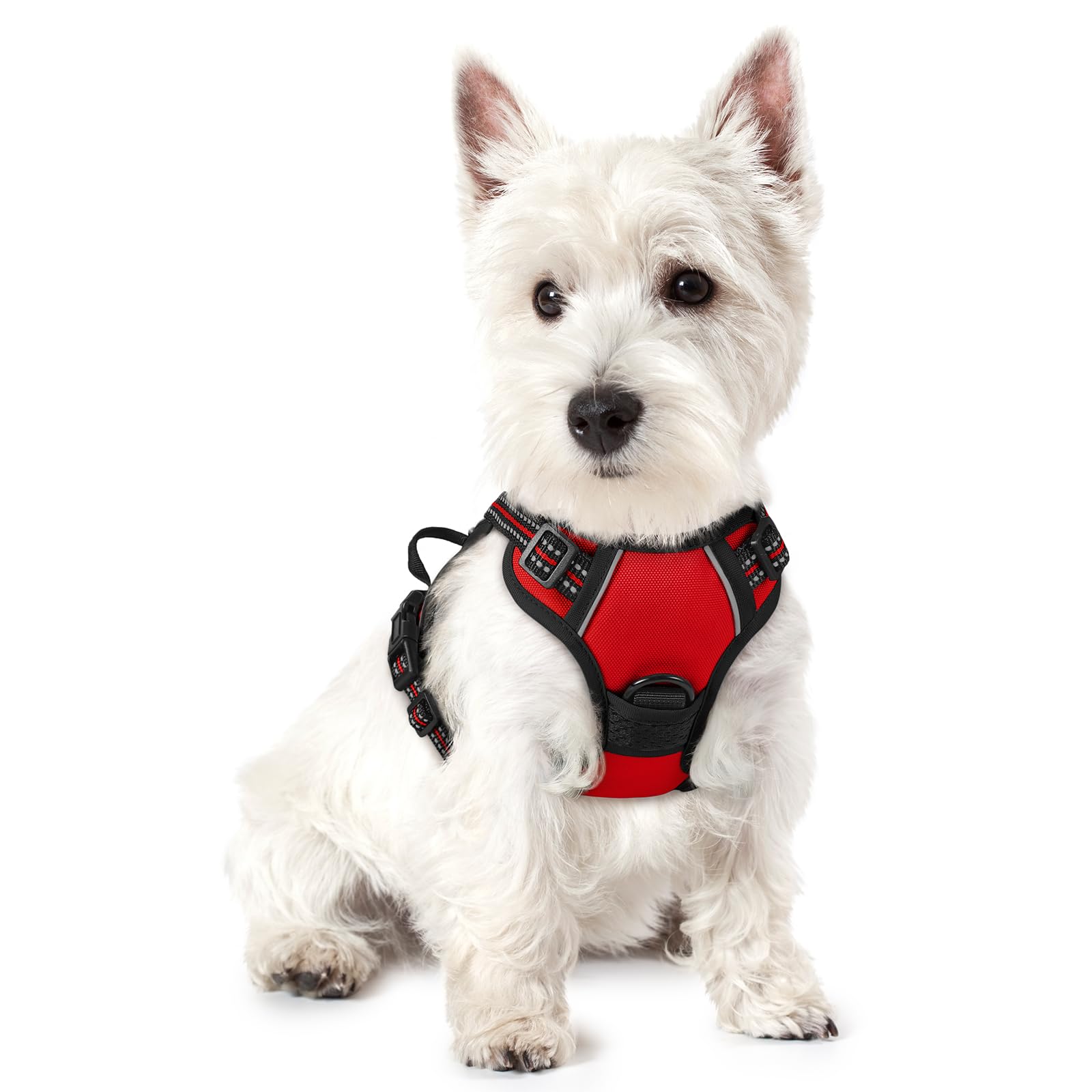 PawGuard No-Pull Reflective Dog Harness - Large Black -  by Handbags Specialist Headquarter | Available at Handbags Specialist Headquarter