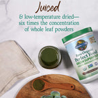 GreenVitality Superfood Powder - Juiced Greens Blend - Health Care by Handbags Specialist Headquarter | Available at Handbags Specialist Headquarter