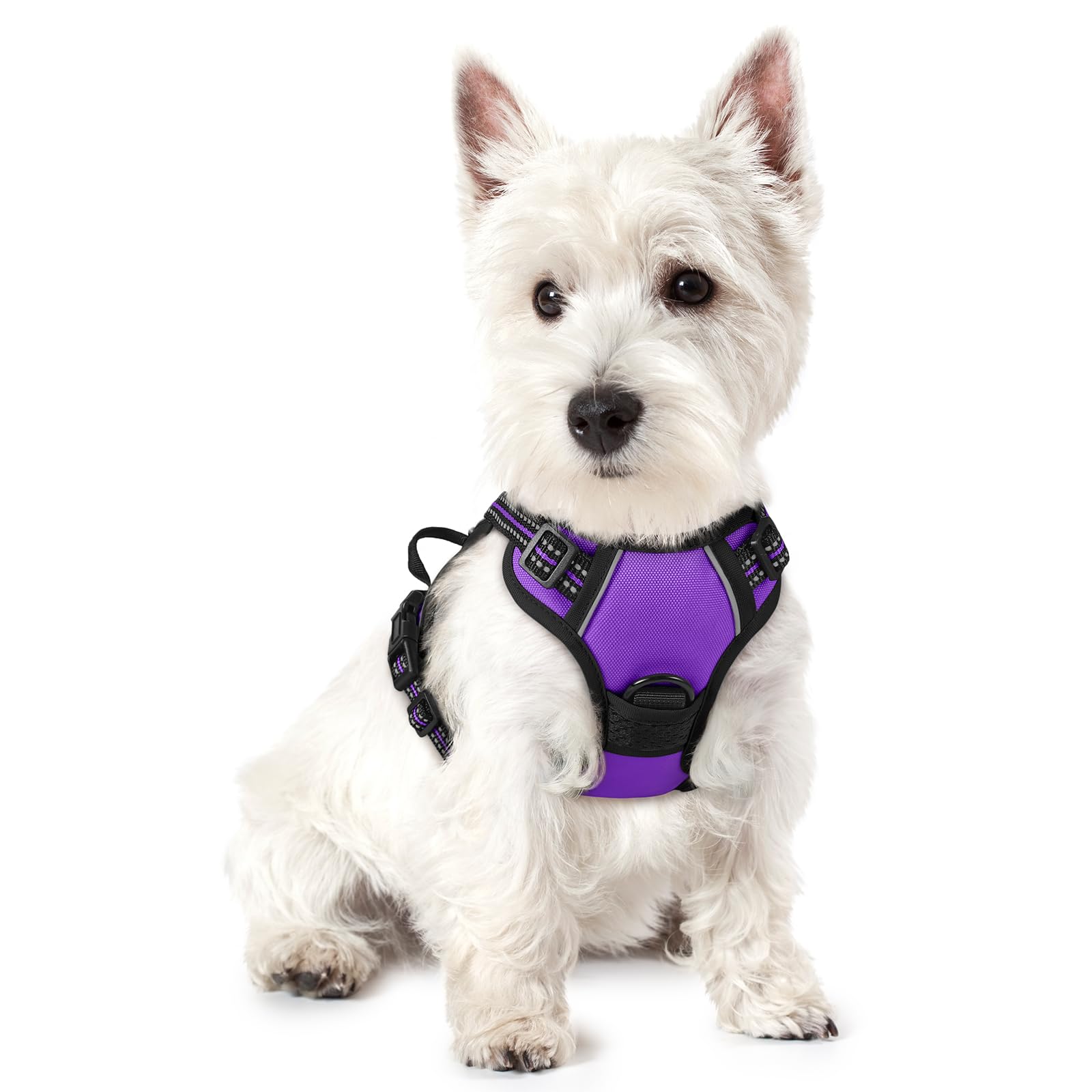 PawGuard No-Pull Reflective Dog Harness - Large Black -  by Handbags Specialist Headquarter | Available at Handbags Specialist Headquarter
