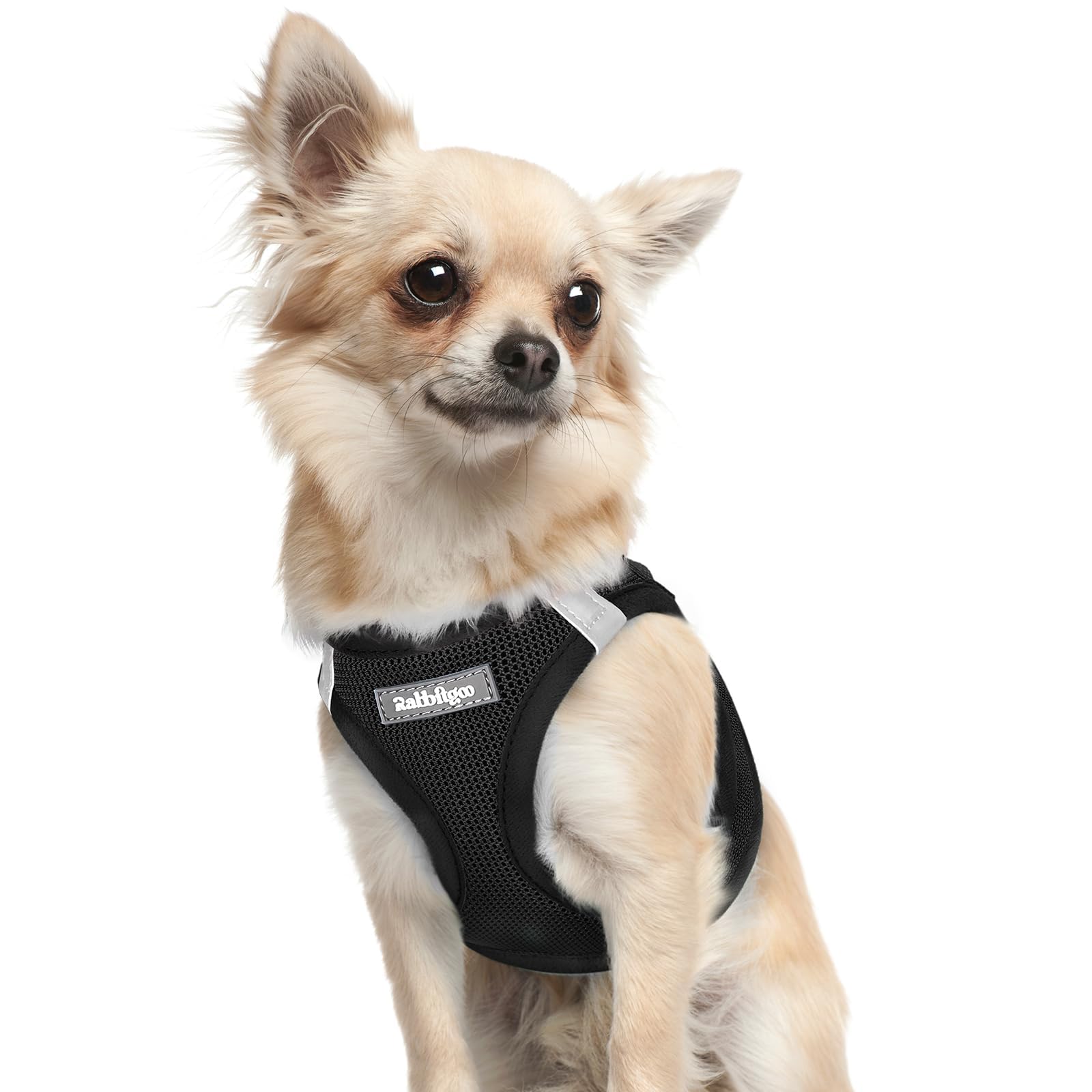BunnyStep: Reflective Mesh Harness for Small Dogs -  by Handbags Specialist Headquarter | Available at Handbags Specialist Headquarter