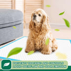 Puppy Pee Pro Pads - 100 Count Super Absorbent Set - Pet Supplies by Handbags Specialist Headquarter | Available at Handbags Specialist Headquarter
