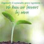 GreenVitality Superfood Powder - Juiced Greens Blend - Health Care by Handbags Specialist Headquarter | Available at Handbags Specialist Headquarter